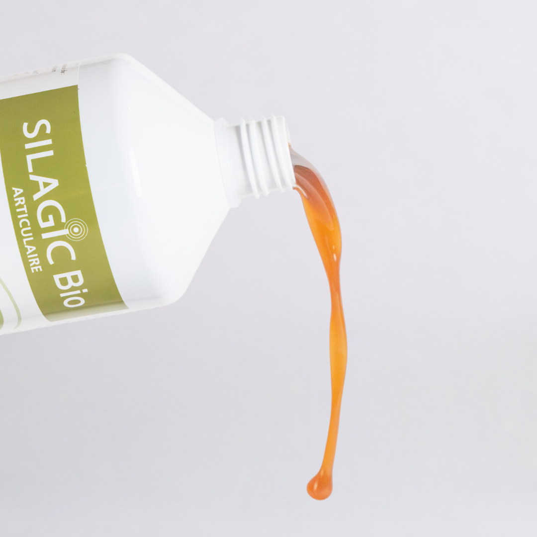 Silicium BIO 1 L