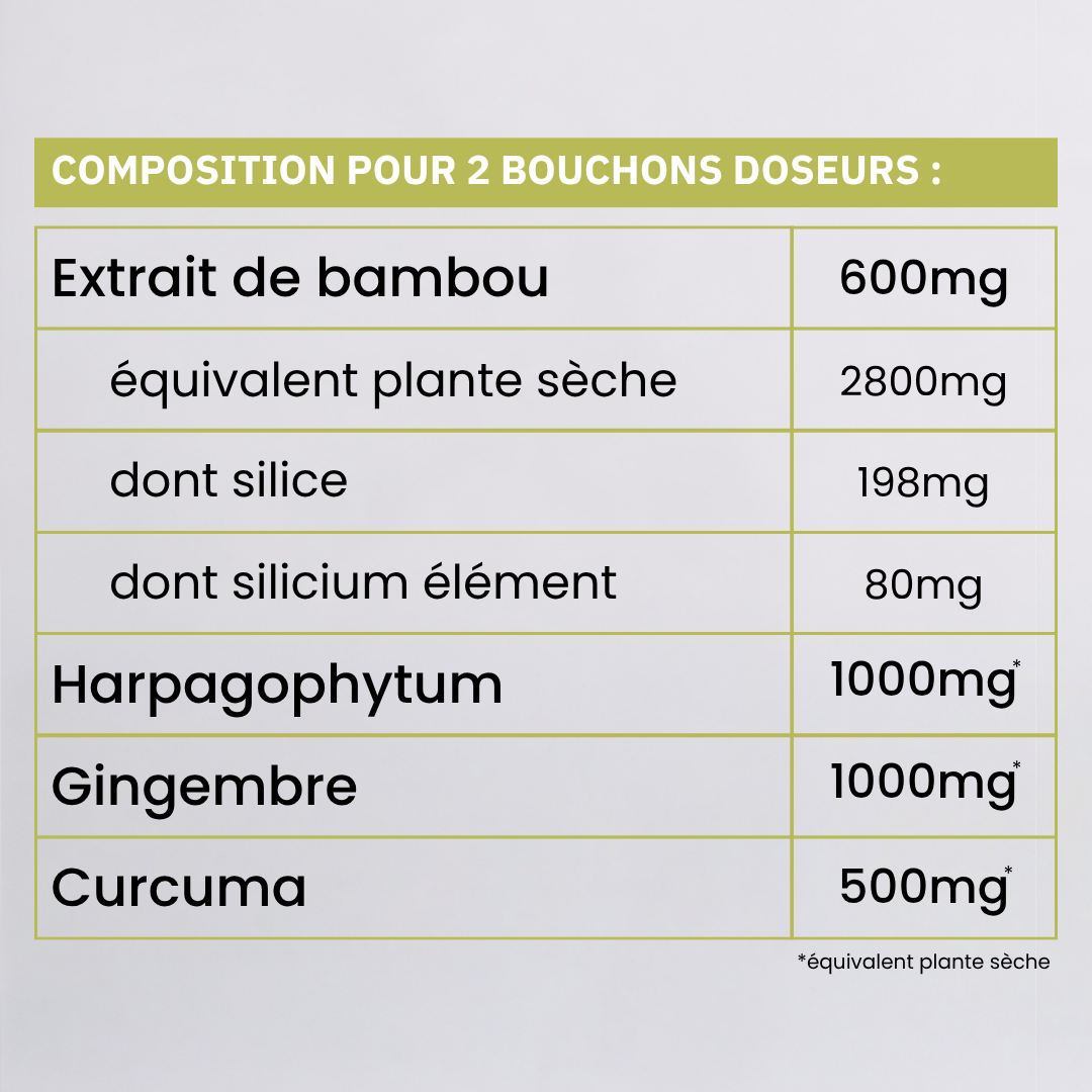 Silicium BIO 1 L